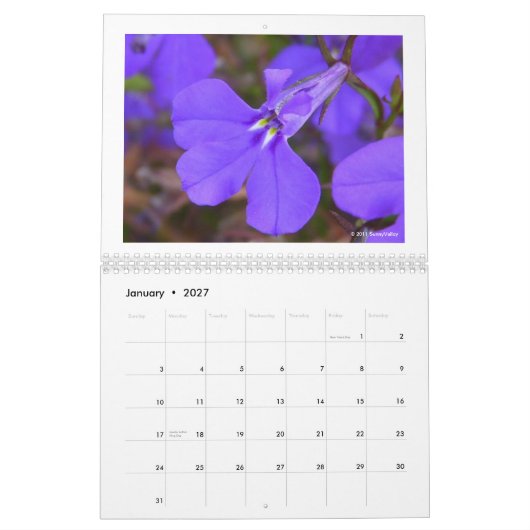Kalender: Empfindliche Natur Kalender (Jan 2027)