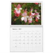 Kalender: Empfindliche Natur Kalender (Feb 2027)