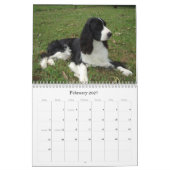 Kalender englischer Springerspaniel-2009 (Feb 2027)