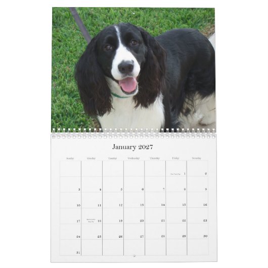 Kalender englischer Springerspaniel-2009 (Jan 2027)