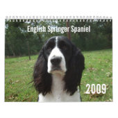 Kalender englischer Springerspaniel-2009 (Titelbild)