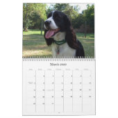Kalender englischer Springerspaniel-2009 (Mär 2026)