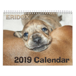 Kalender Eridox Dackel-2019