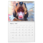 Kalender Eridox Dackel-2019 (Feb 2027)