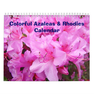 Kalender farbenfrohe Azaleen & Rhodies Kalender