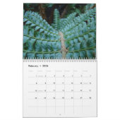 KALENDER-FARNE Kalender-Rotholz-Waldfarne Kalender (Feb 2026)