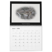 Kalender Favoriten Vögel im Hinterhof #2 (Mär 2026)