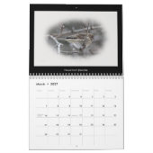 Kalender Favoriten Vögel im Hinterhof #2 (Mär 2027)
