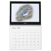 Kalender Favoriten Vögel im Hinterhof #2 (Jan 2027)