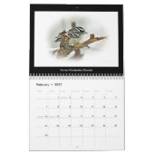 Kalender Favoriten Vögel im Hinterhof #2 (Feb 2027)