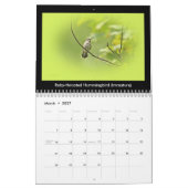 Kalender Favoritengeburten im Hinterhof #3 (Mär 2027)
