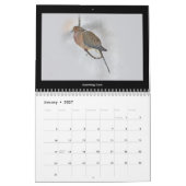 Kalender Favoritengeburten im Hinterhof #3 (Jan 2027)
