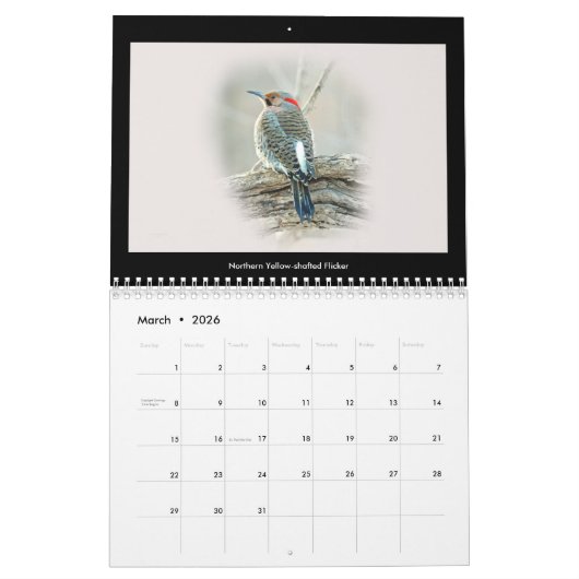 Kalender Favoritengeburten im Hinterhof #5 (Mär 2026)