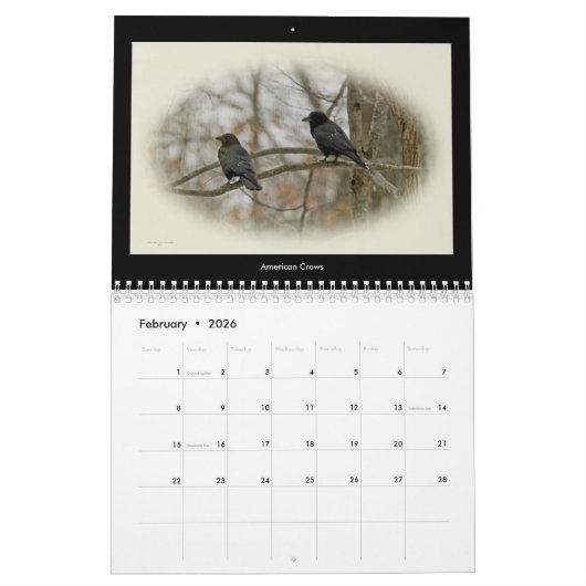 Kalender Favoritengeburten im Hinterhof #5 (Feb 2026)