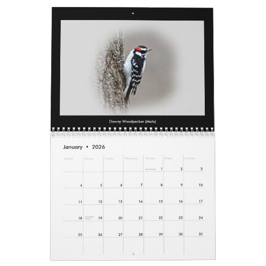 Kalender Favoritengeburten im Hinterhof #5 (Jan 2026)