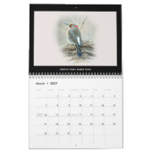 Kalender Favoritengeburten im Hinterhof #5 (Mär 2027)