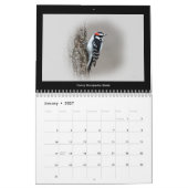 Kalender Favoritengeburten im Hinterhof #5 (Jan 2027)