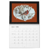 Kalender - Feathered Friends (Mär 2026)