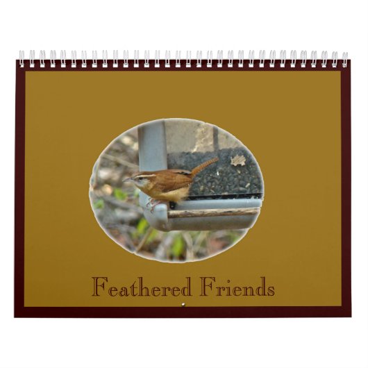 Kalender - Feathered Friends (Titelbild)