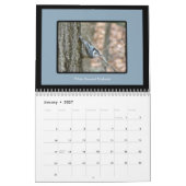 Kalender - Feathered Friends (Jan 2027)