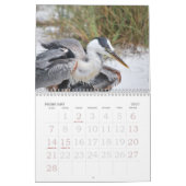 Kalender Floridas USA 2011 (Feb 2027)