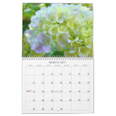 Kalender-Fotografie-Rosablaue Hydrangea-Gärten Kalender (Mär 2027)