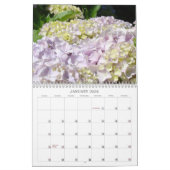 Kalender-Fotografie-Rosablaue Hydrangea-Gärten Kalender (Jan 2026)