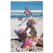 Kalender französische Bulldogge tolle Fotosammlung (Titelbild)