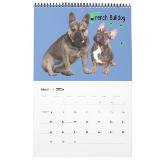 Kalender französische Bulldogge tolle Fotosammlung (Mär 2026)