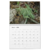 Kalender - Friendly Forest (Mär 2026)