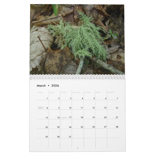 Kalender - Friendly Forest (Mär 2026)