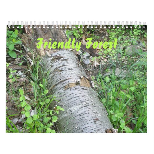 Kalender - Friendly Forest (Titelbild)
