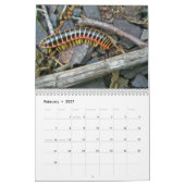 Kalender - Friendly Forest (Feb 2027)