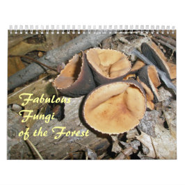 Kalender - Fungi des Waldes