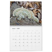 Kalender - Fungi des Waldes (Mär 2027)