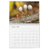 Kalender - Fungi des Waldes (Jan 2027)