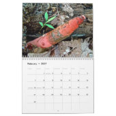 Kalender - Fungi des Waldes (Feb 2027)