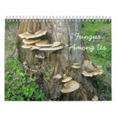 Kalender - Fungus unter uns (Titelbild)