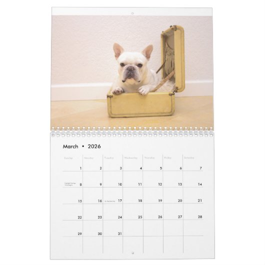 Kalender für 2017 (Mär 2026)