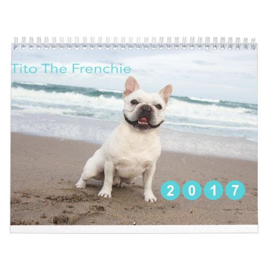 Kalender für 2017 (Titelbild)