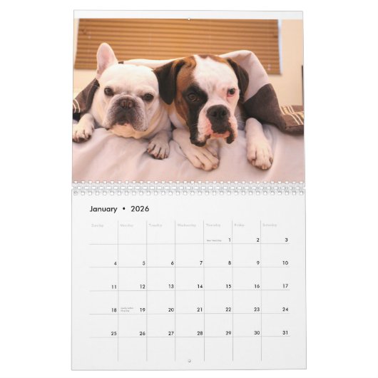 Kalender für 2017 (Jan 2026)