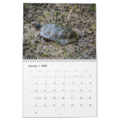 Kalender für ausgewählte Tiere (Jan 2027)