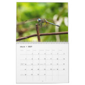 Kalender für ausgewählte Tiere (Mär 2027)