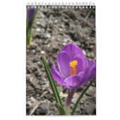 Kalender für benutzerdefinierte Fotografie (Titelbild)