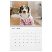 Kalender für benutzerdefinierte Fotos - Hunde, Hau (Mär 2026)