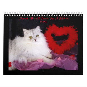 Kalender für besondere Momente von iCatz