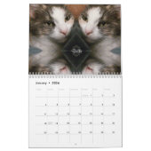 Kalender für besondere Momente von iCatz (Jan 2026)