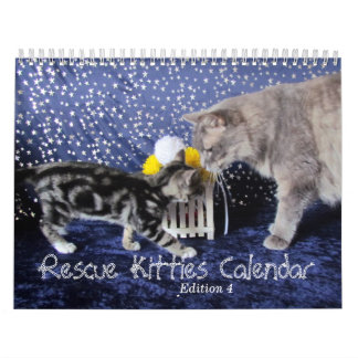Kalender für die Rettung von Katzen - Ausgabe 4