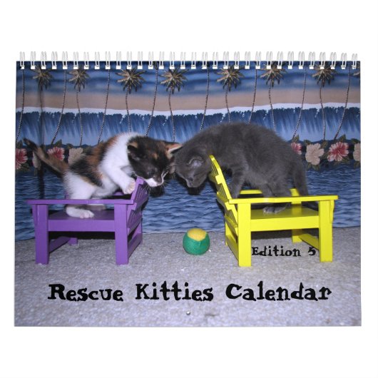 Kalender für die Rettung von Katzen - Ausgabe 5 (Titelbild)