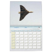 Kalender für Flugzeugenthusiasten (Jan 2026)